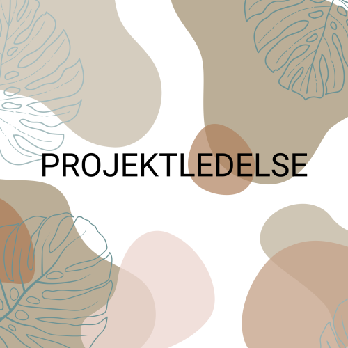 Nye Bølger PR Management Manisha Petersen